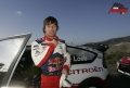 Loeb - -media-