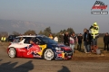 Loeb 1 - Tomasz Bugiel