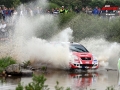 Ogier - Sharkie