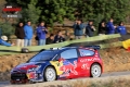 Loeb - Sharkie