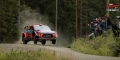 Mikkelsen - Tom Buyse