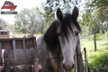test_Argentina_35 - Maria R.