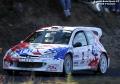 Peugeot 206 WRC - David Pelejero