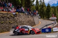 Ogier - Sven Kollus