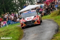 Paddon - Sven Kollus