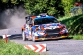 Suninen