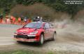 Loeb 7 - Willy Weyens