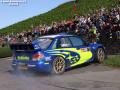 Solberg P - Sharkie