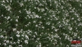 zz_atmosf�ra - Roman Ka�p�rek