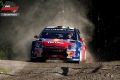 Loeb 4 - Josef Petr