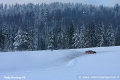 Loeb - Vittorio Sanguineti