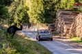 Silber - Rallyservice.cz