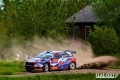 Suninen