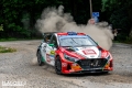 Paddon - Sven Kollus