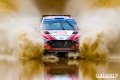 Paddon