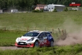 Prokop - Sharkie