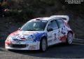 Peugeot 206 WRC - David Pelejero