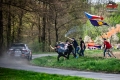 Sttesk - Rallyservice.cz