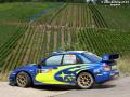 Solberg P - Sharkie