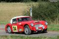 Austin Healey - Dalibor Benych