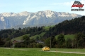 Sperrer - Dalibor Benych