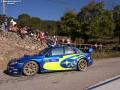 Solberg P - Sharkie
