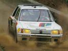 Peugeot 205 T16